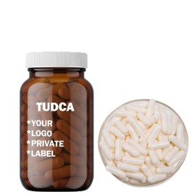 TUDCA Capsules Manufacturer - Liver Support 500mg OEM