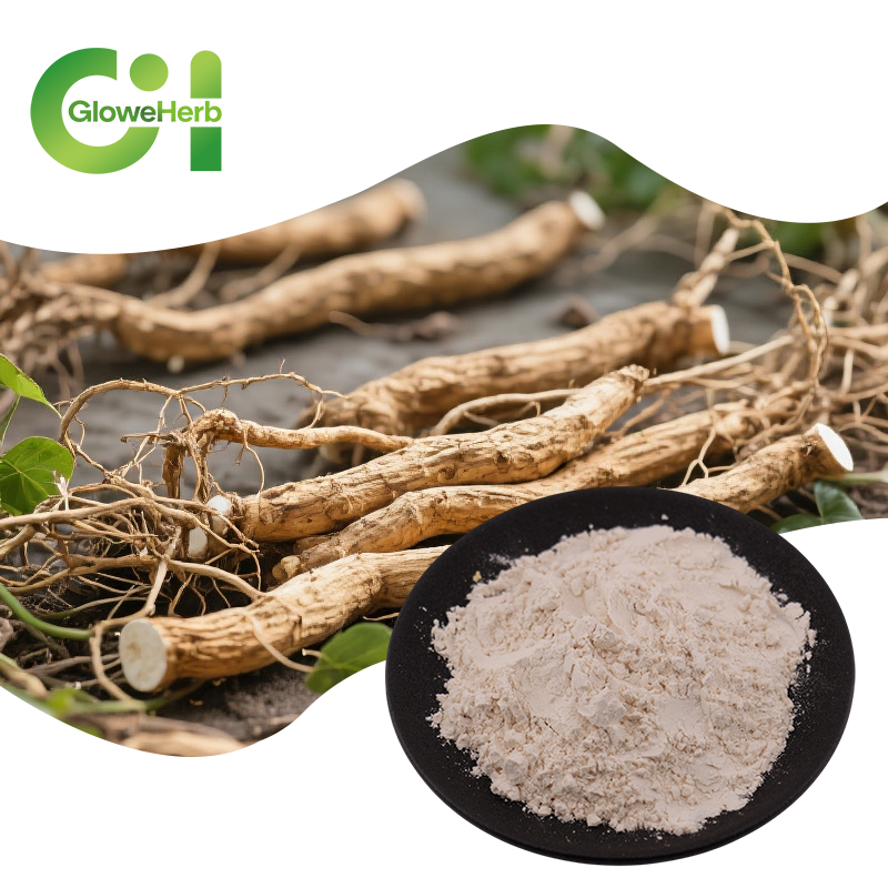 Pueraria Extract Powder Factory - OEM Food Grade Puerarin Isoflavone