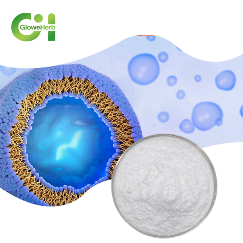 NMN Powder Manufacturer - OEM 98% Pure Cosmetic Grade Drum