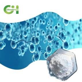 Hyaluronic Acid Powder Manufacturer - OEM Cosmetic Food Grade Bulk