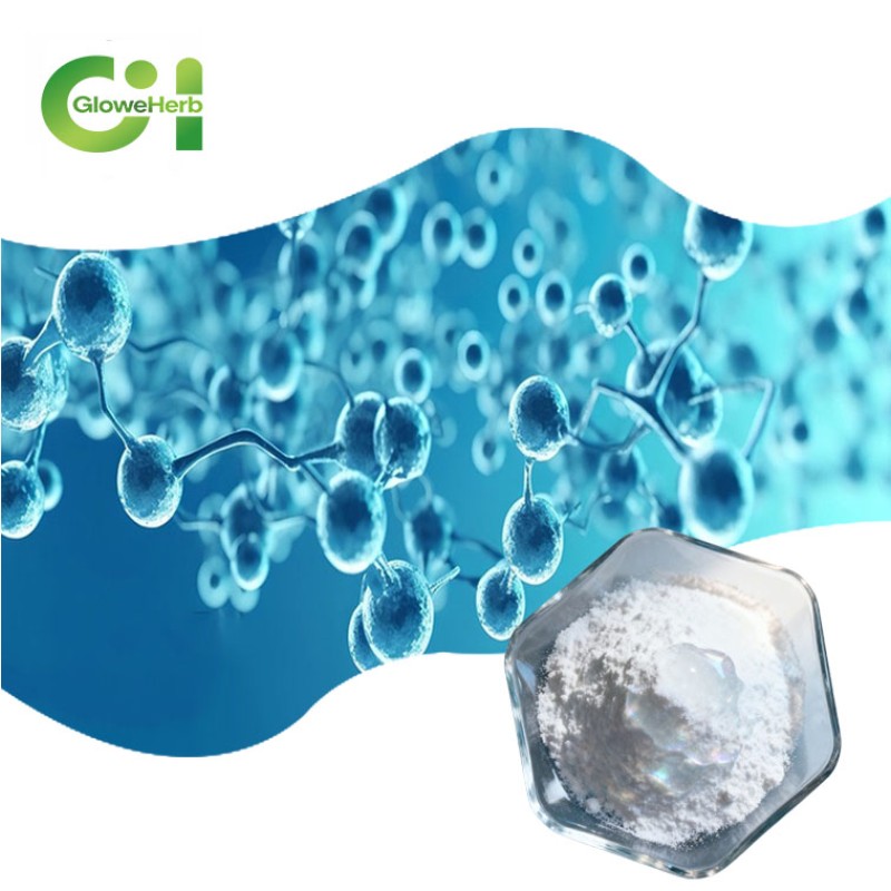 Hyaluronic Acid Powder Manufacturer - OEM Cosmetic Food Grade Bulk