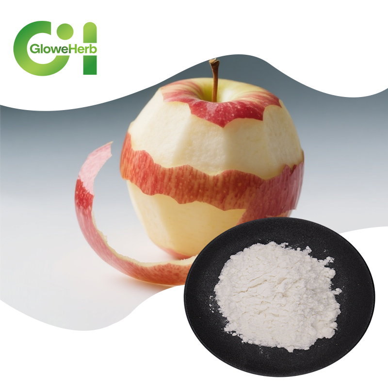 Phloretin Powder Manufacturer - OEM 98% Apple Peel Skin Extract