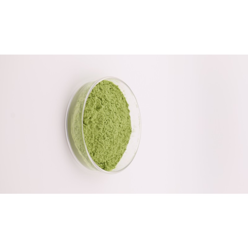 Spinach Powder Factory - OEM Food Grade Dried Green Vegetable Extract