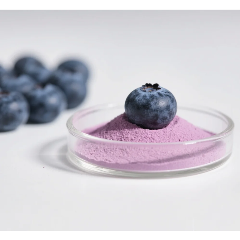 Blueberry Powder Manufacturer - OEM Freeze Dried Food Grade