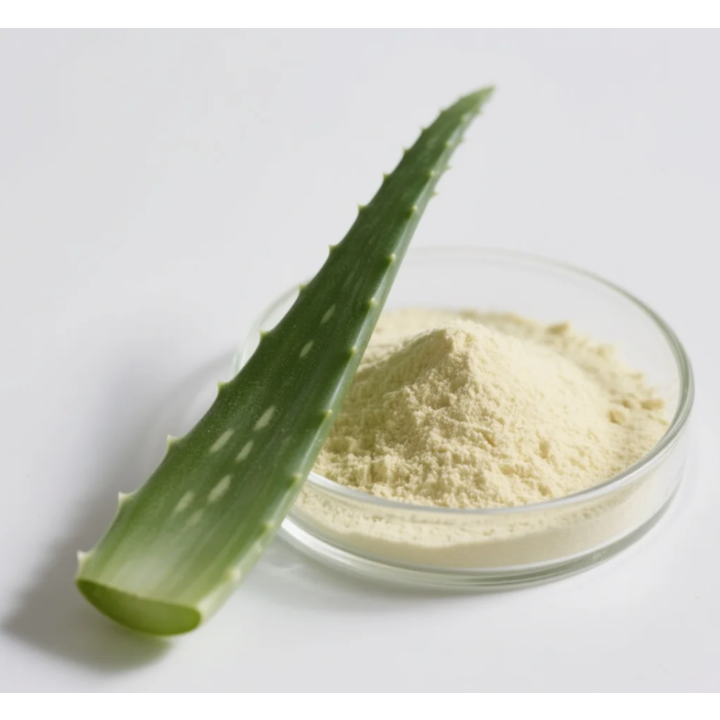 Aloe Extract Powder Factory - OEM Aloin Aloe Vera Plant Extract