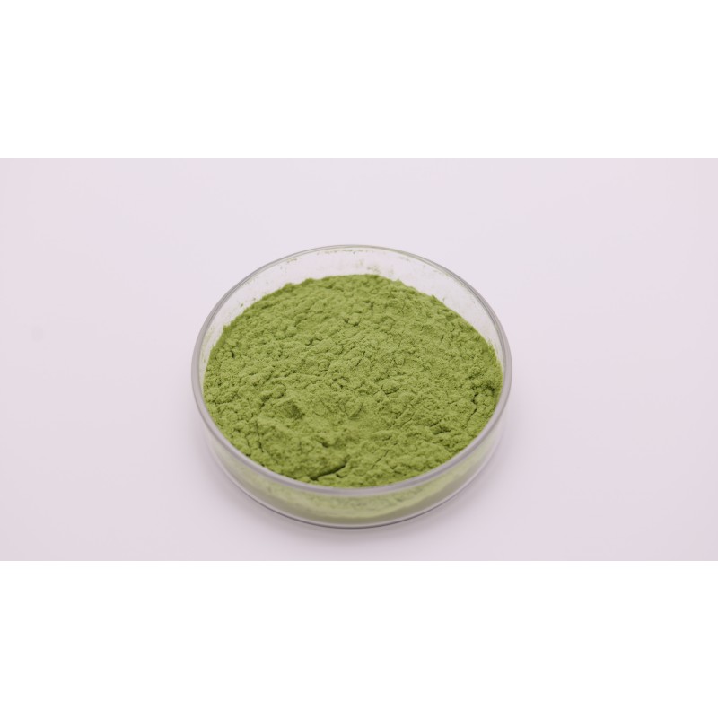 Spinach Powder Factory - OEM Food Grade Dried Green Vegetable Extract