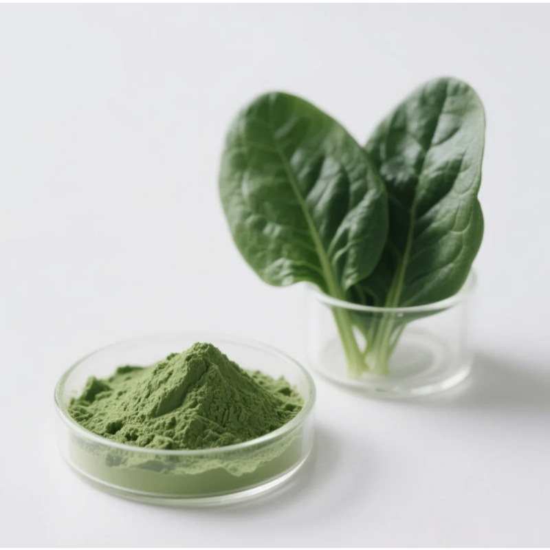 Spinach Powder Factory - OEM Food Grade Dried Green Vegetable Extract