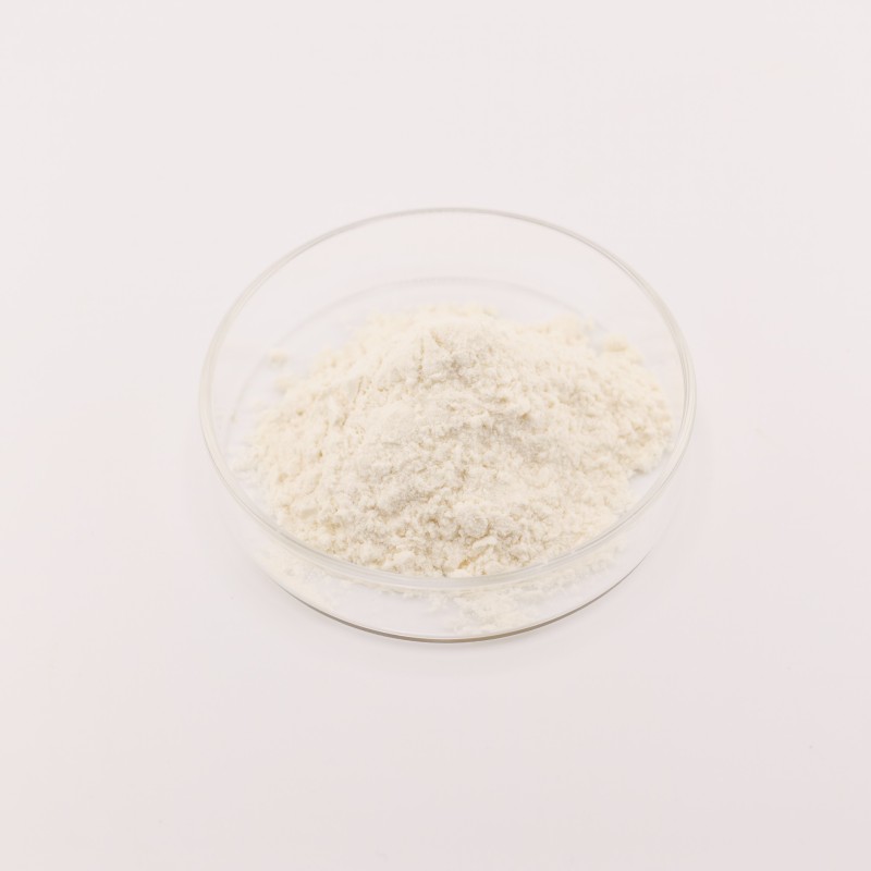 Phloretin Powder Manufacturer - OEM 98% Apple Peel Skin Extract
