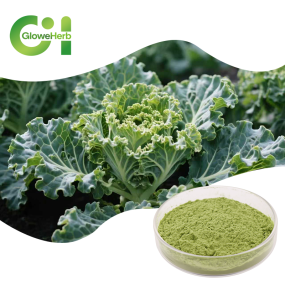 Kale Powder Supplier - OEM 100% Green Vegetable Additive Drum