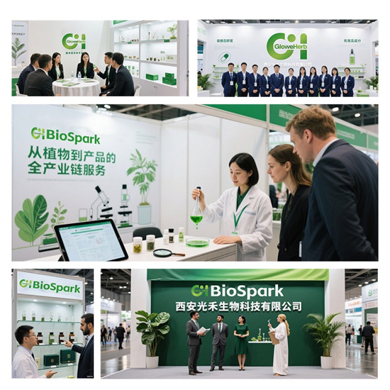 Kanna Extract Factory - OEM Herbal Extract 100:1 200:1