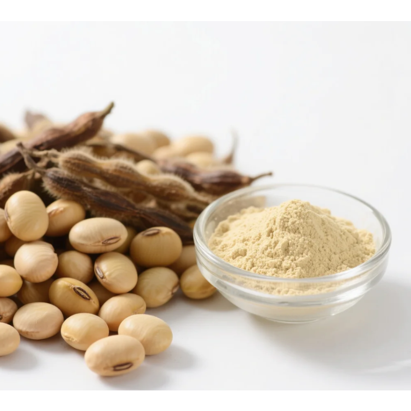 Soy Isoflavone Powder Manufacturer - OEM 40% Soybean Extract Bulk