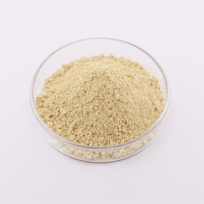 Naringin Powder Factory - OEM 98% Grapefruit Peel Extract Plant