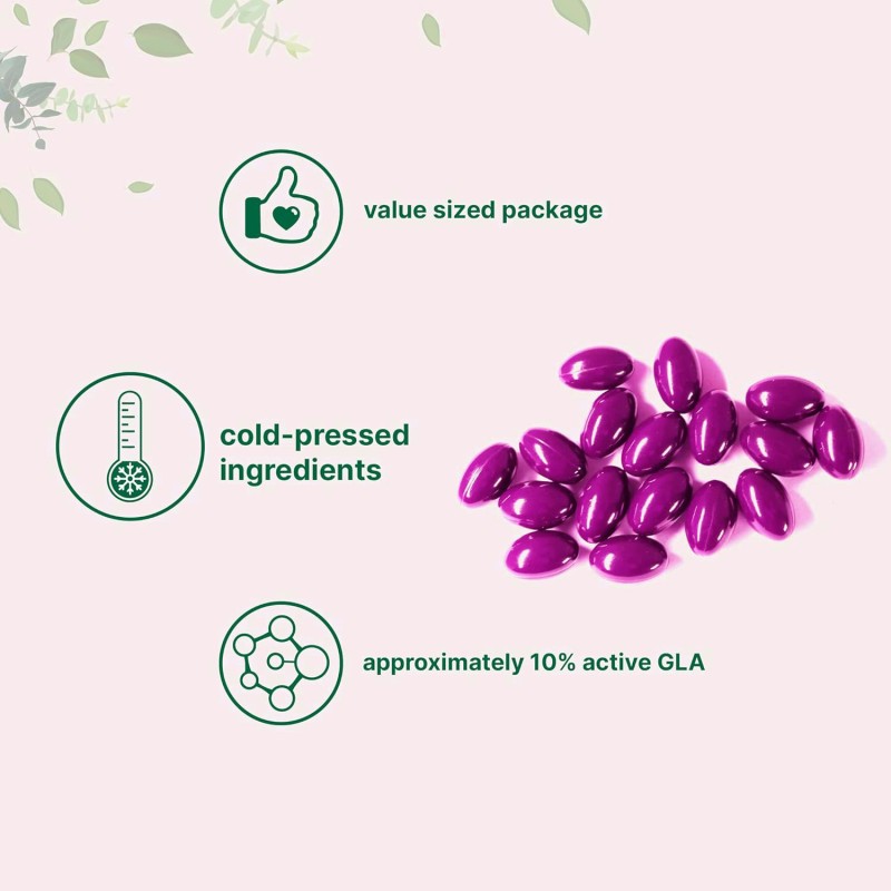 Evening Primrose Capsules Supplier - OEM 1000mg Herbal Extract Supplement