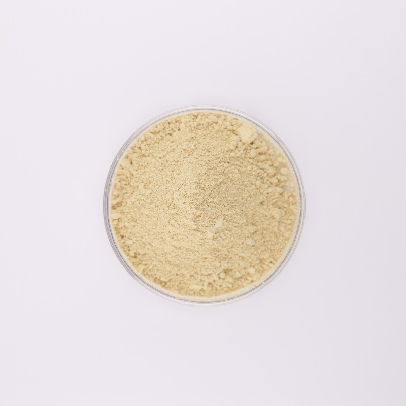 Naringin Powder Manufacturer - OEM Dihydrochalcone Drum Packaging