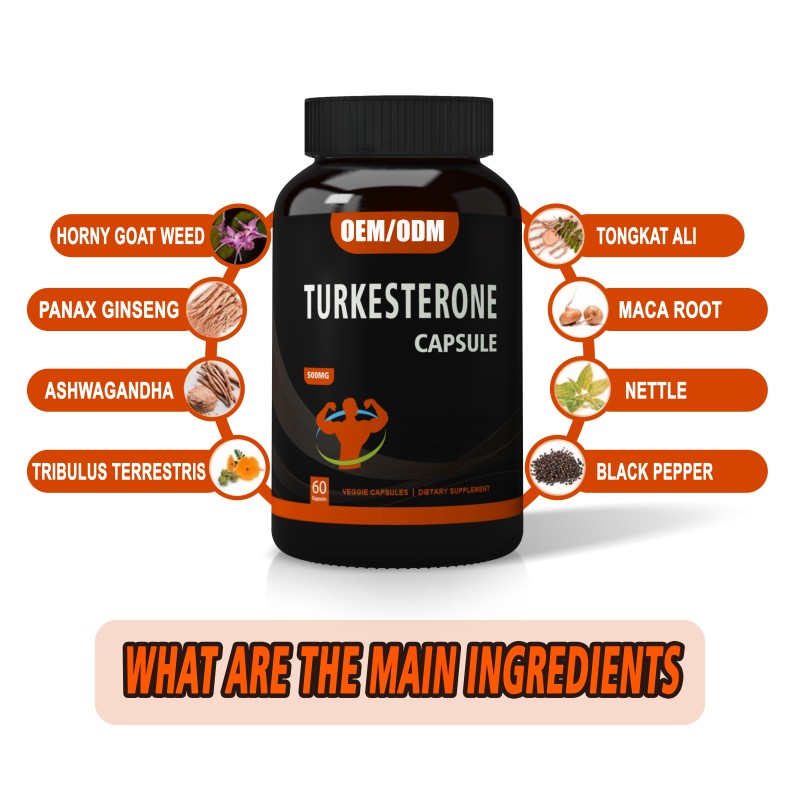 Ajuga Extract Capsules Manufacturer - OEM 10% 40% 500mg Turkesterone