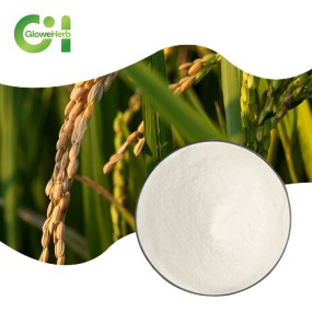 Rice Bran Powder Factory - OEM Oryzanol 98% Extract Supplement