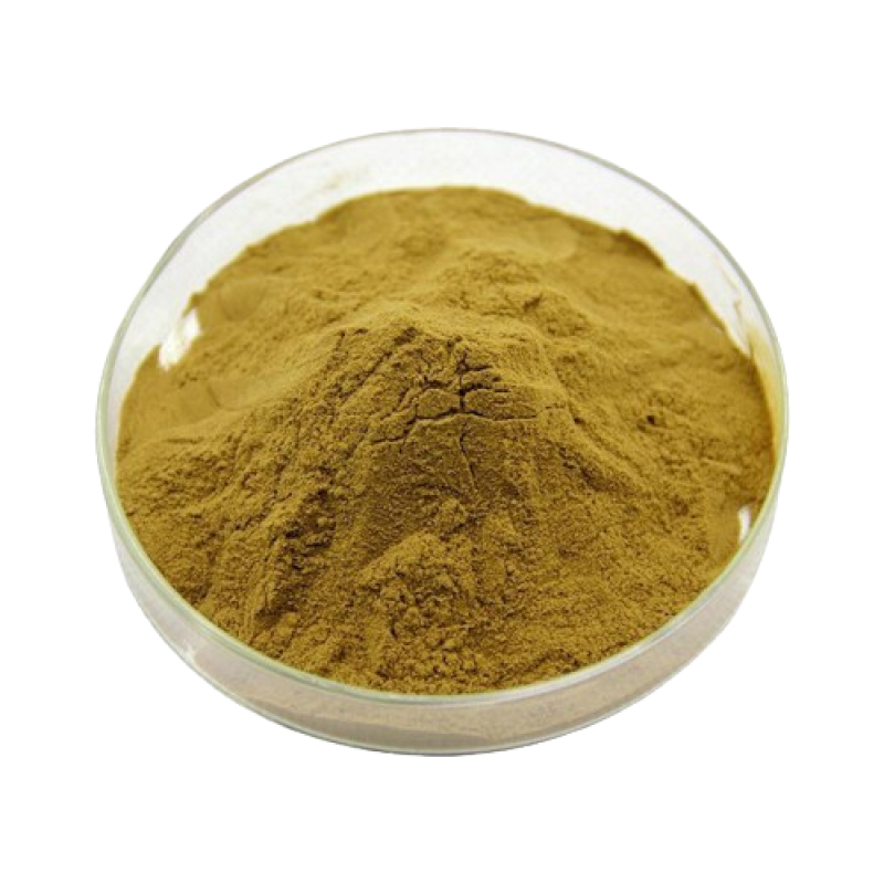 Kanna Extract Factory - OEM Herbal Extract 100:1 200:1