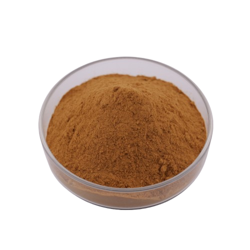 Black Ant Extract Manufacturer - OEM 10:1 Extract Natural Supplement