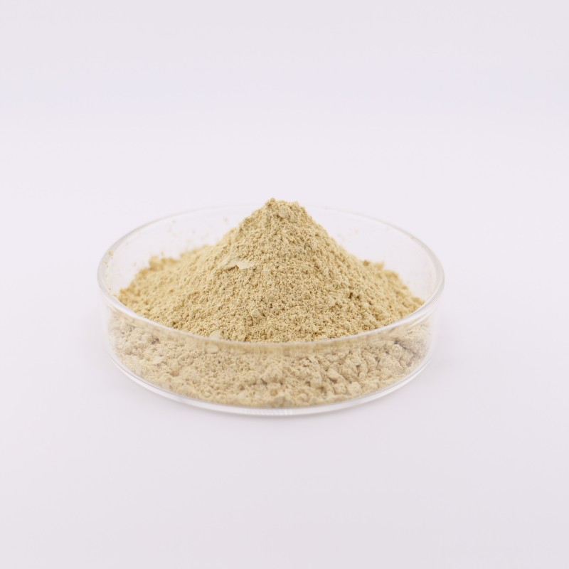 Naringin Powder Manufacturer - OEM Dihydrochalcone Drum Packaging