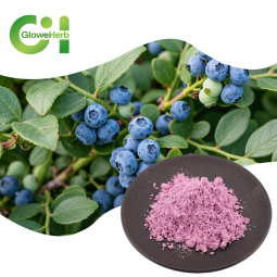 Blueberry Powder Manufacturer - OEM Freeze Dried Food Grade