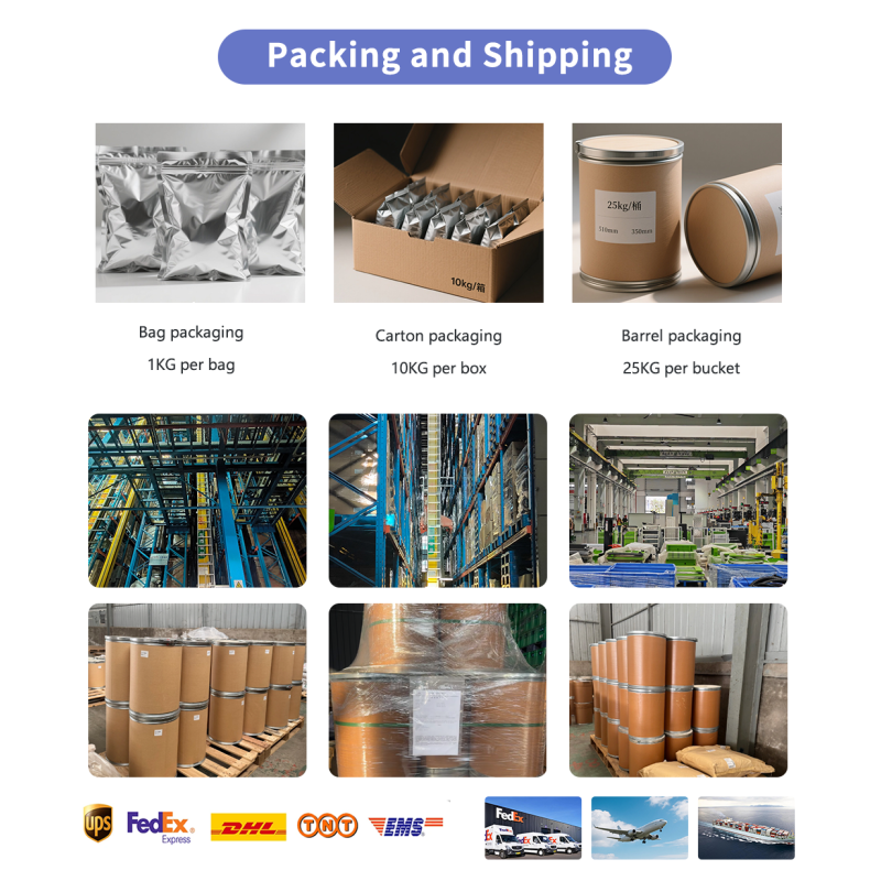 Phloretin Powder Manufacturer - OEM 98% Apple Peel Skin Extract