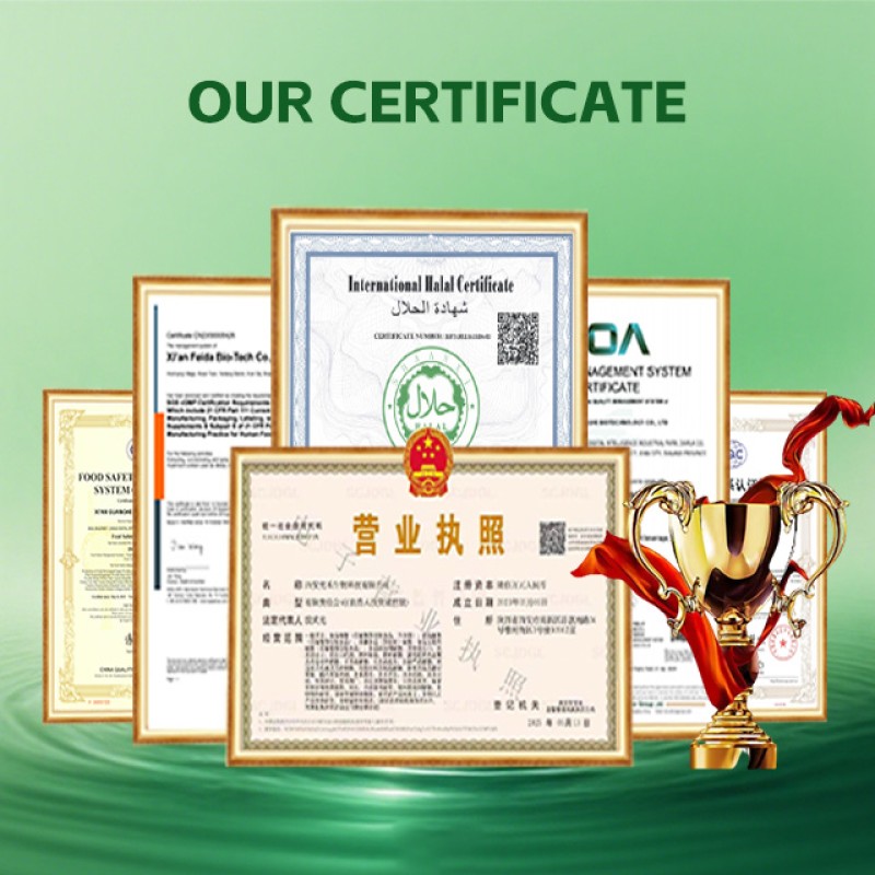 Probiotic Gummies Supplier - OEM Multi-Strain Gut Body Health