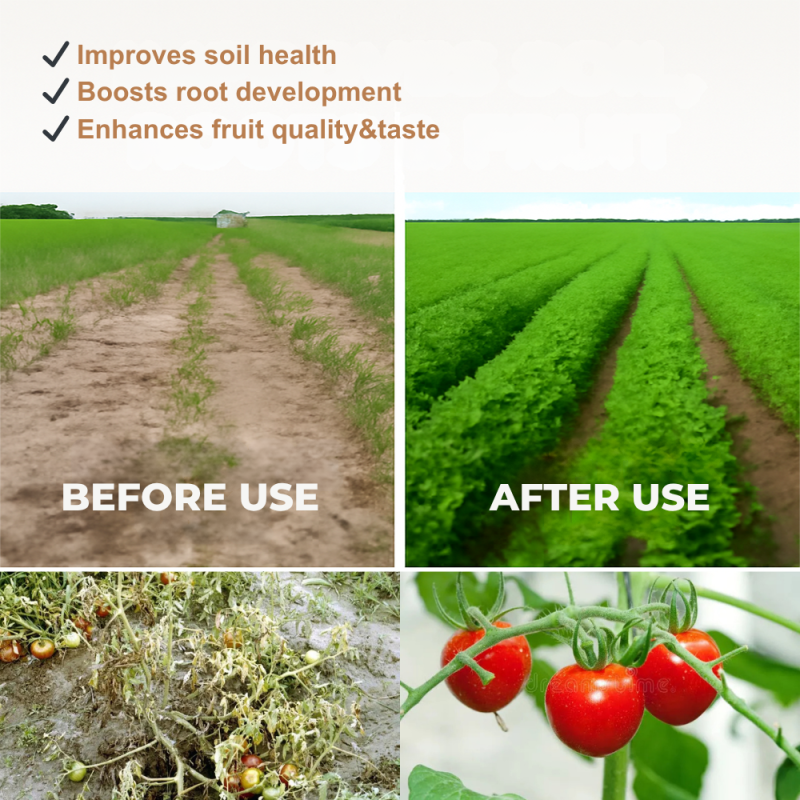 Rooting Agent Factory - Wood Acid Stress Resistance