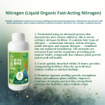 Organic water-soluble fertilizer