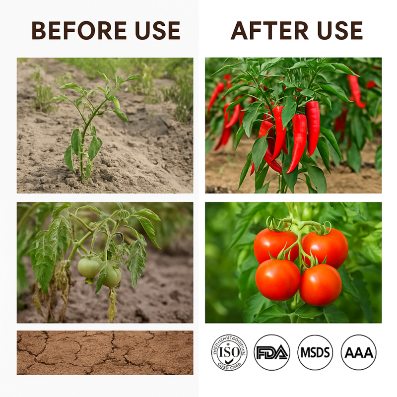 Bacterial Fertilizer Factory - Lignase Enzyme Organic