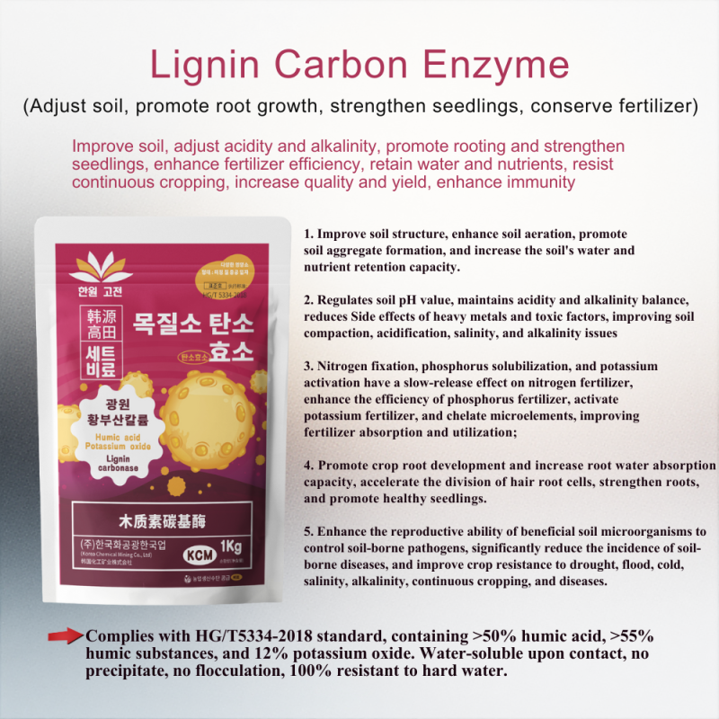 Bacterial Fertilizer Factory - Lignase Enzyme Organic
