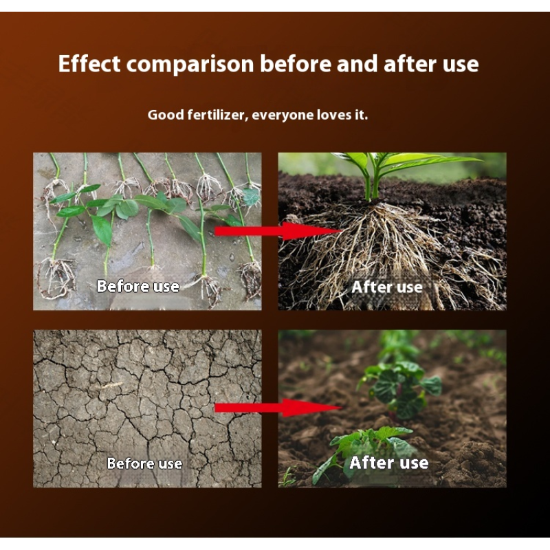 Granular Fertilizer Factory - High Nitrogen Organic Fruit Trees