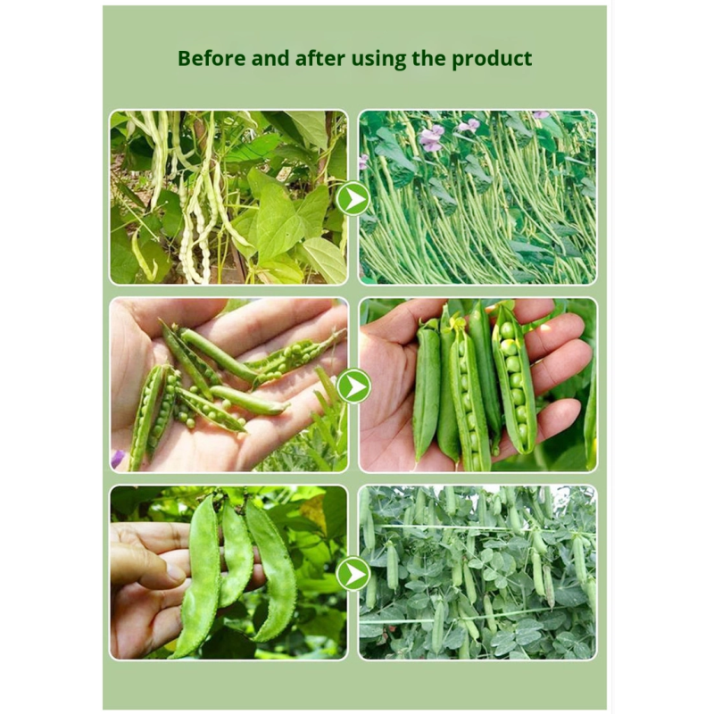 Organic Fertilizer Supplier - Liquid Lignase Enzyme Seaweed