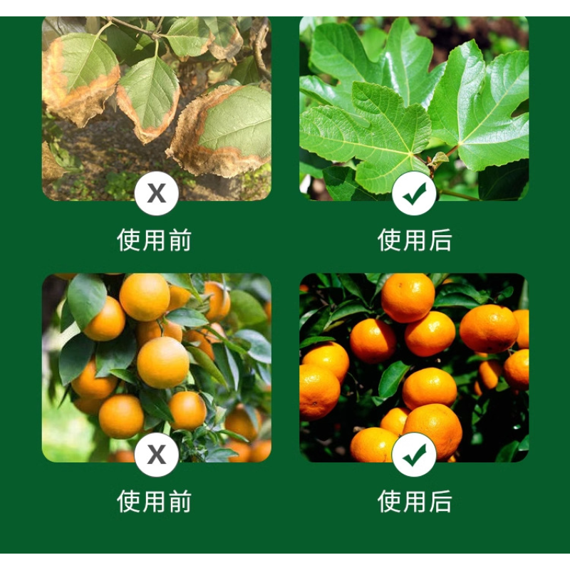 Calcium Fertilizer Manufacturer - Magnesium Lactate Chelated