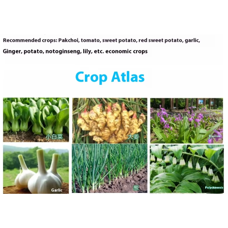 Rooting Agent Factory - Suspension-Type Rooting