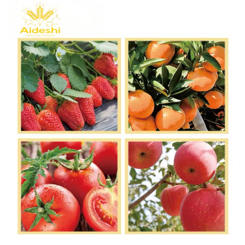 Shrimp Fertilizer Supplier - Peptide Plasma Liquid State