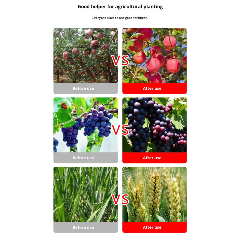 Rooting Agent Manufacturer - Suspension Organic Fertilizer