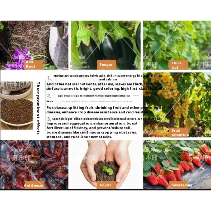 Soil Conditioner Manufacturer - Silicon-Calcium-Magnesium Liquid