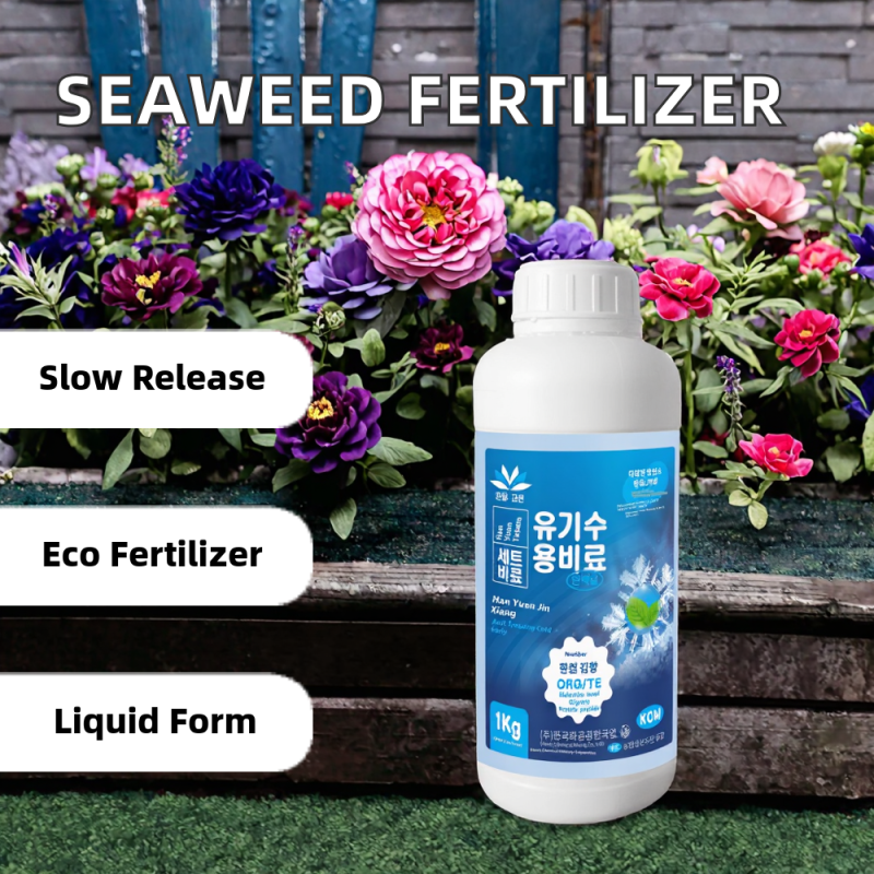 Organic Fertilizer Factory - Seaweed Granular Rooting Agent