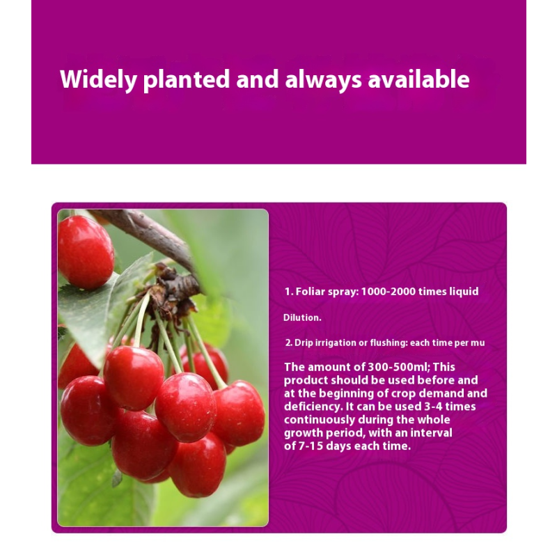 Seaweed Fertilizer Supplier - Microbial Eco-Friendly Natural