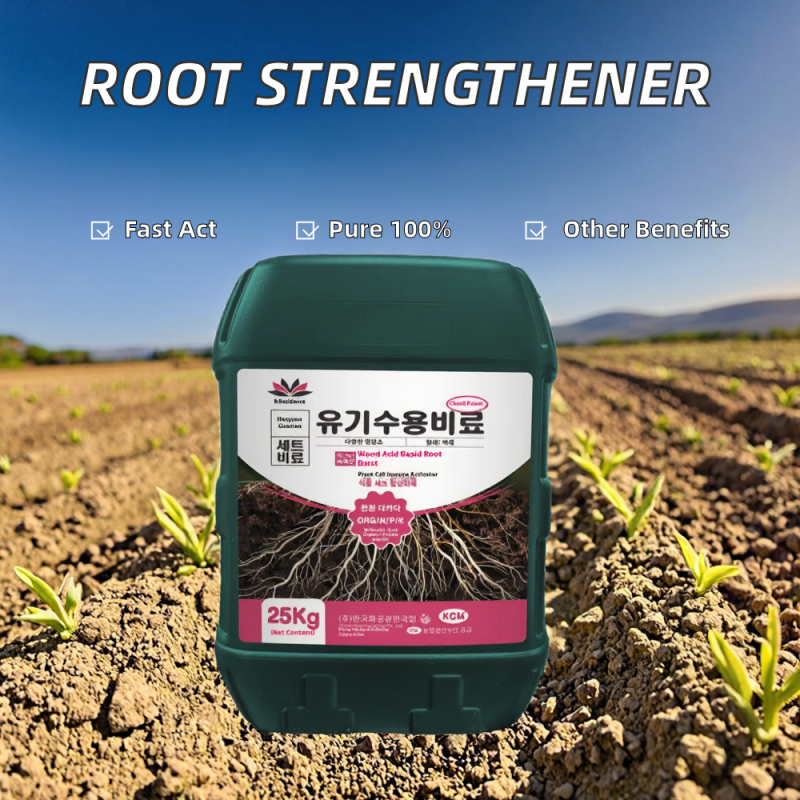 Humic Acid Fertilizer Factory - Water-Soluble Root Strengthening