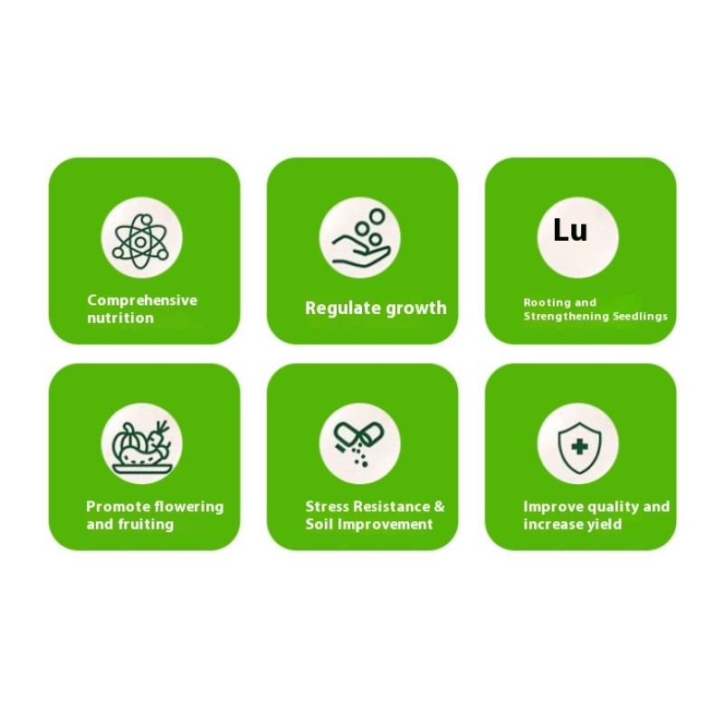 Organic Fertilizer Manufacturer - Pod Yield-Increasing Special