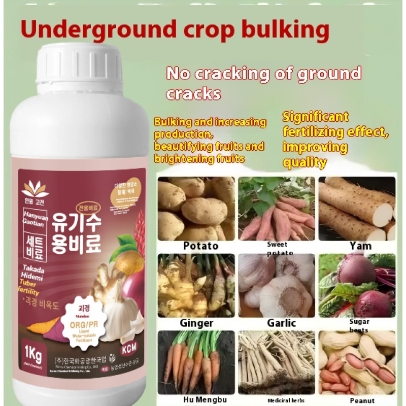 Root Crop Fertilizer Supplier - Water-Soluble Growth Control
