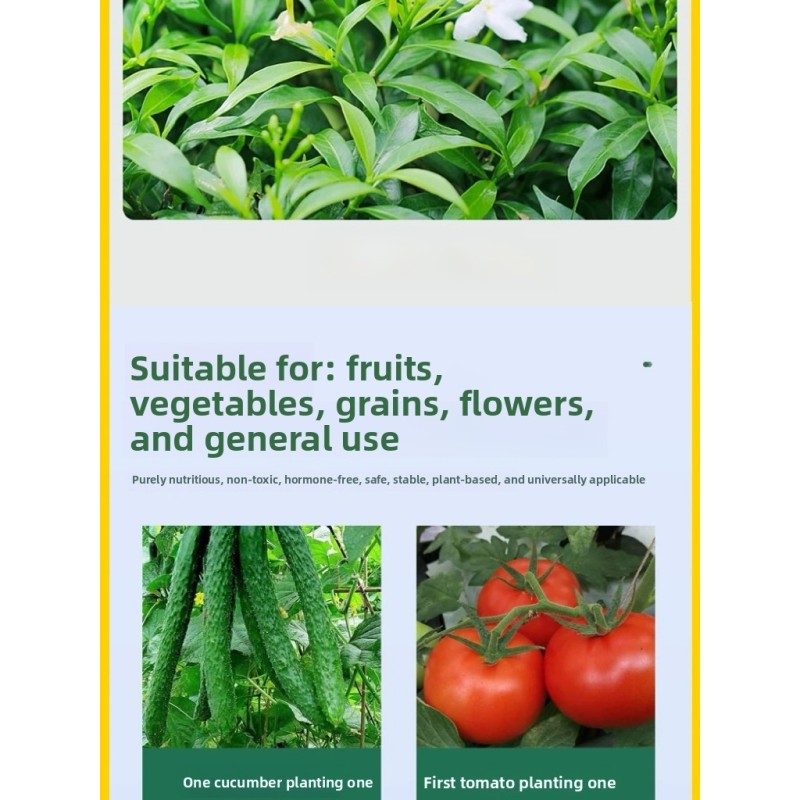 Boron Fertilizer Supplier - Liquid Eco-Friendly NPK