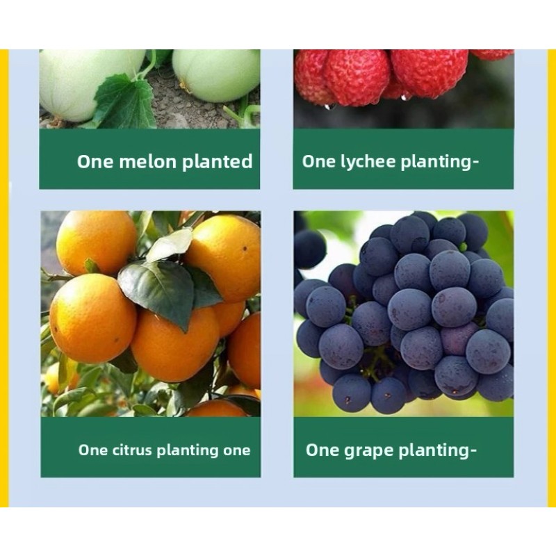 Boron Fertilizer Supplier - Liquid Eco-Friendly NPK