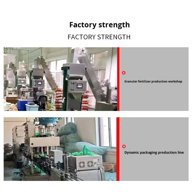 Water-Soluble Fertilizer Factory - Promote Flower Fruit Set