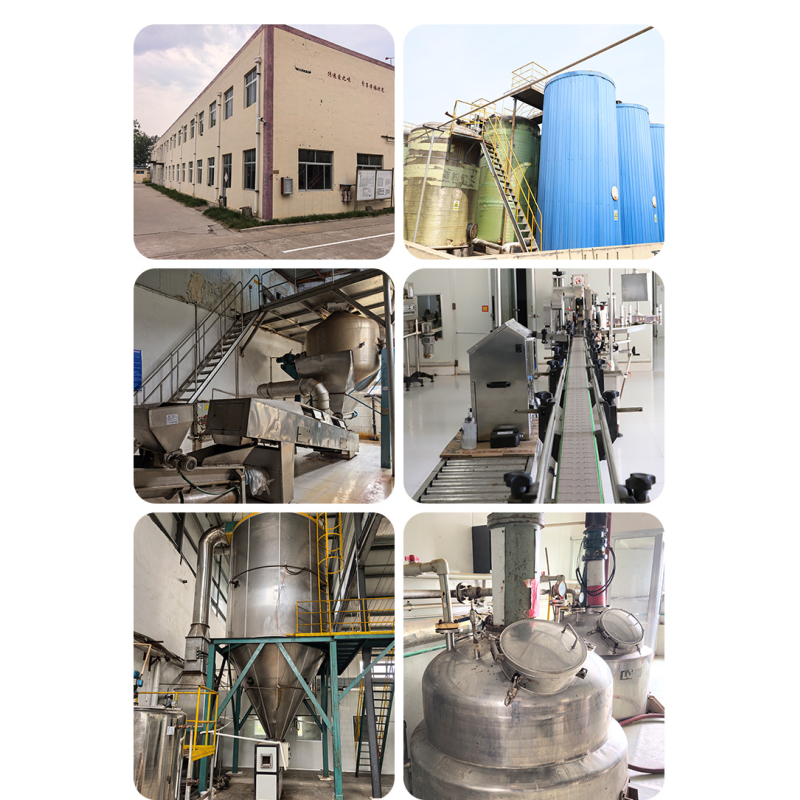 Rooting Agent Manufacturer - Suspension-Type Organic