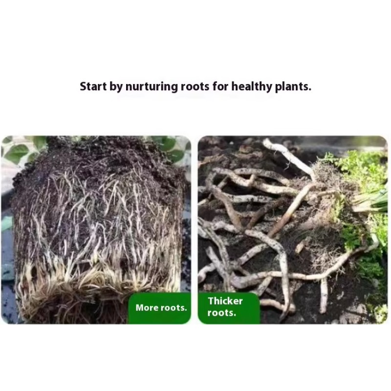 Seaweed Fertilizer Factory - Alginic Acid Anti-Drop