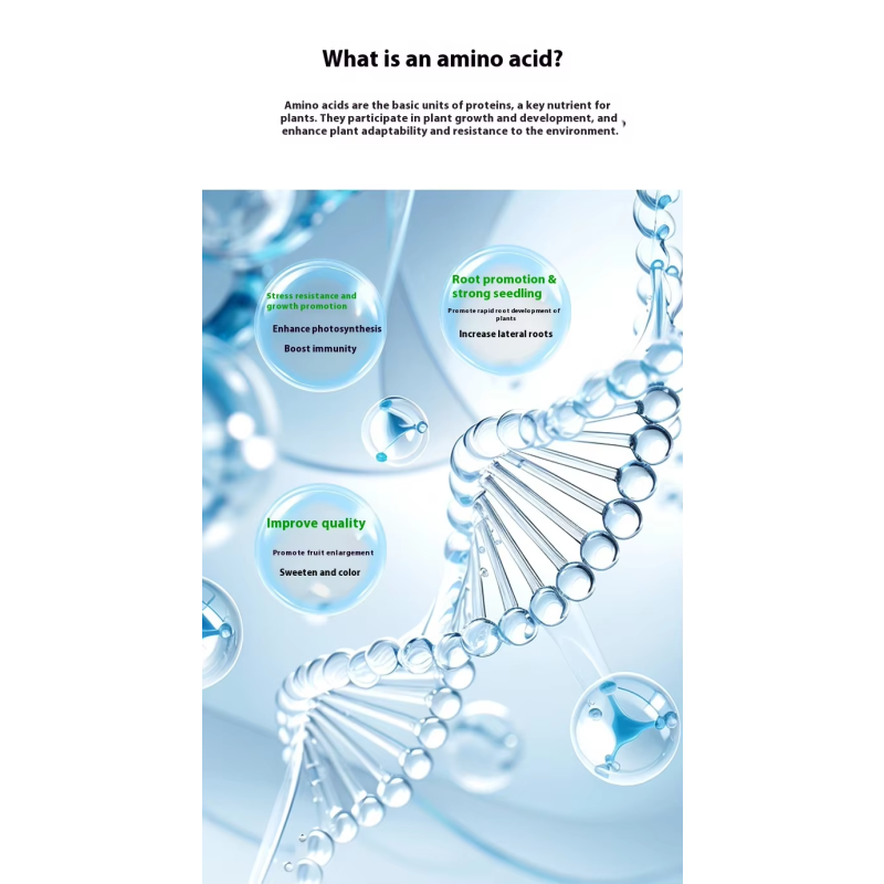 Organic Fertilizer Manufacturer - Liquid Lignase Enzyme