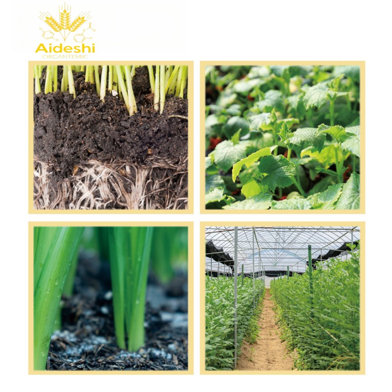 Organic Fertilizer Manufacturer - Wood Acid Eco-Friendly