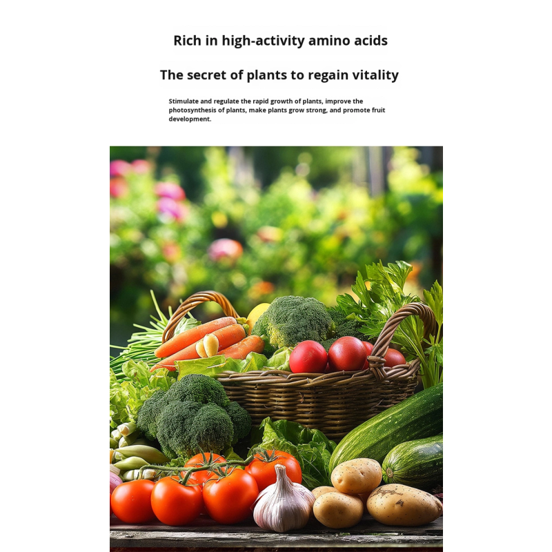 Seaweed Fertilizer Supplier - Granular Soil Rooting